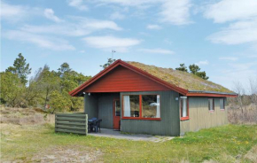 2 Bedroom Stunning Home In Rømø